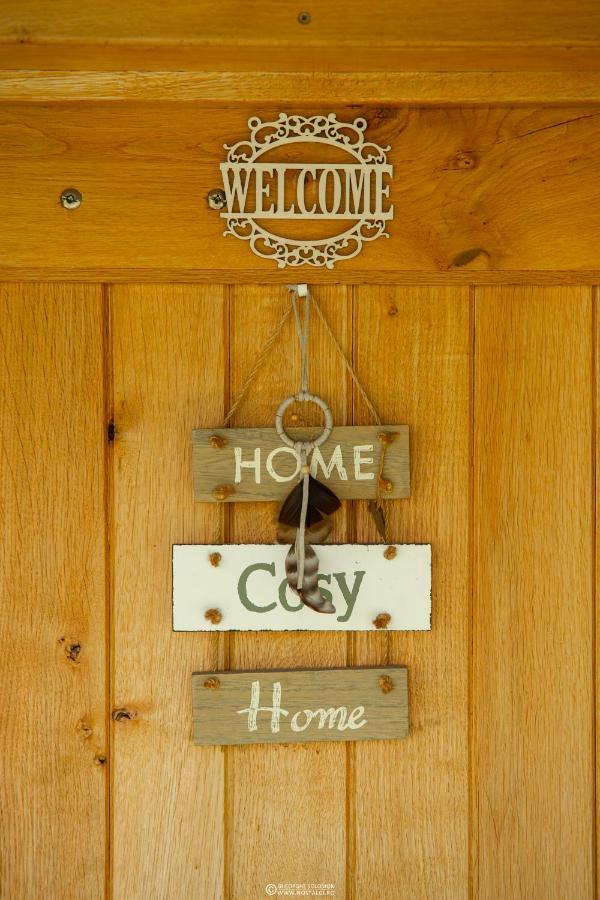 Sunset Cottage براشوف المظهر الخارجي الصورة