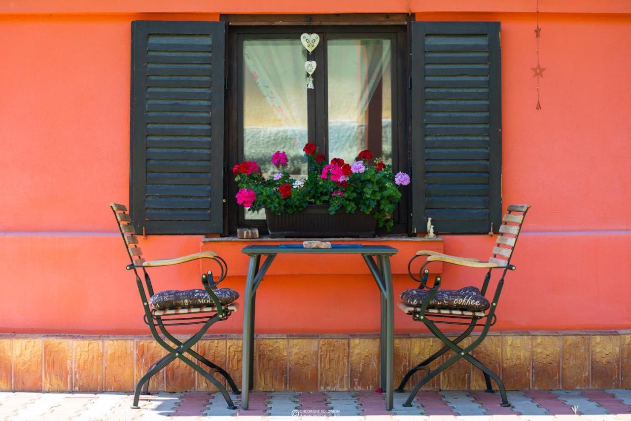 Sunset Cottage براشوف المظهر الخارجي الصورة